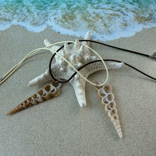 Simple Shell Necklace