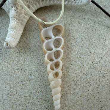 Simple Shell Necklace
