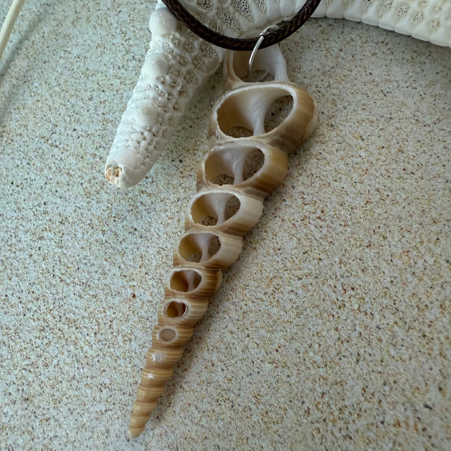 Simple Shell Necklace