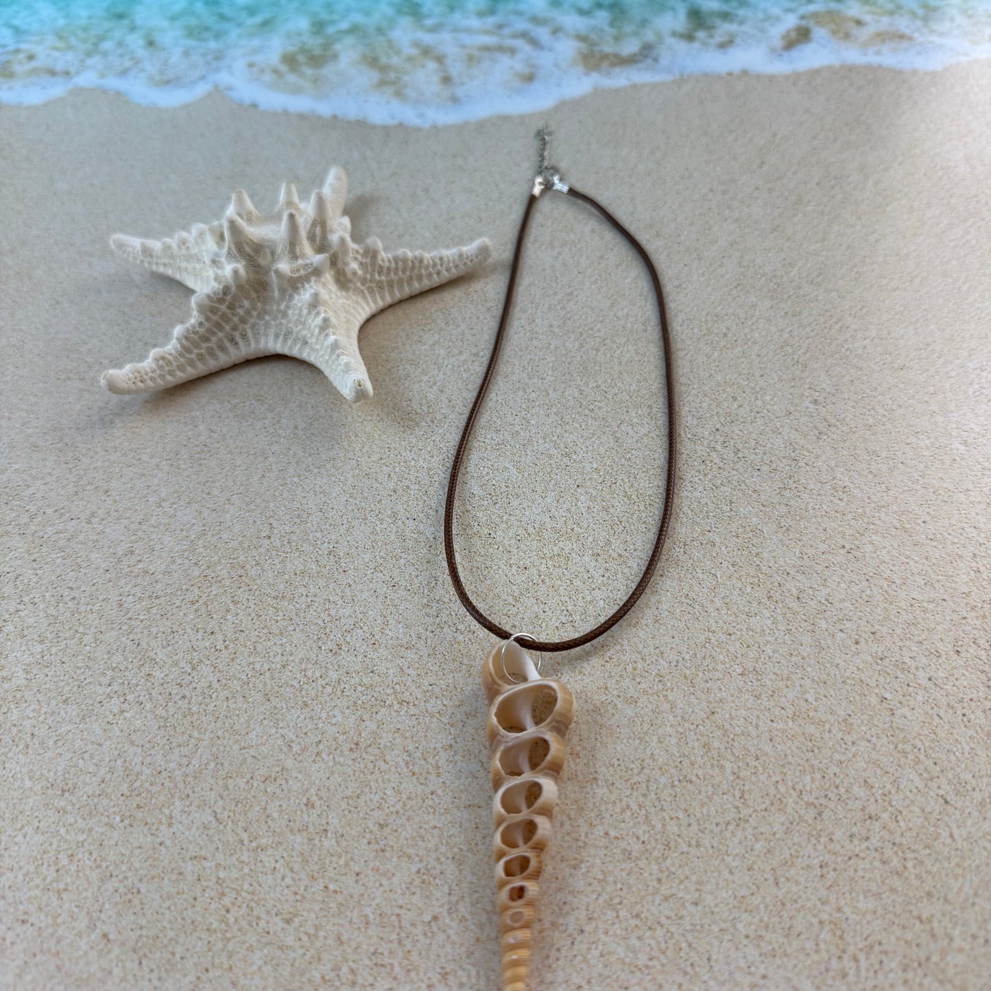 Simple Shell Necklace