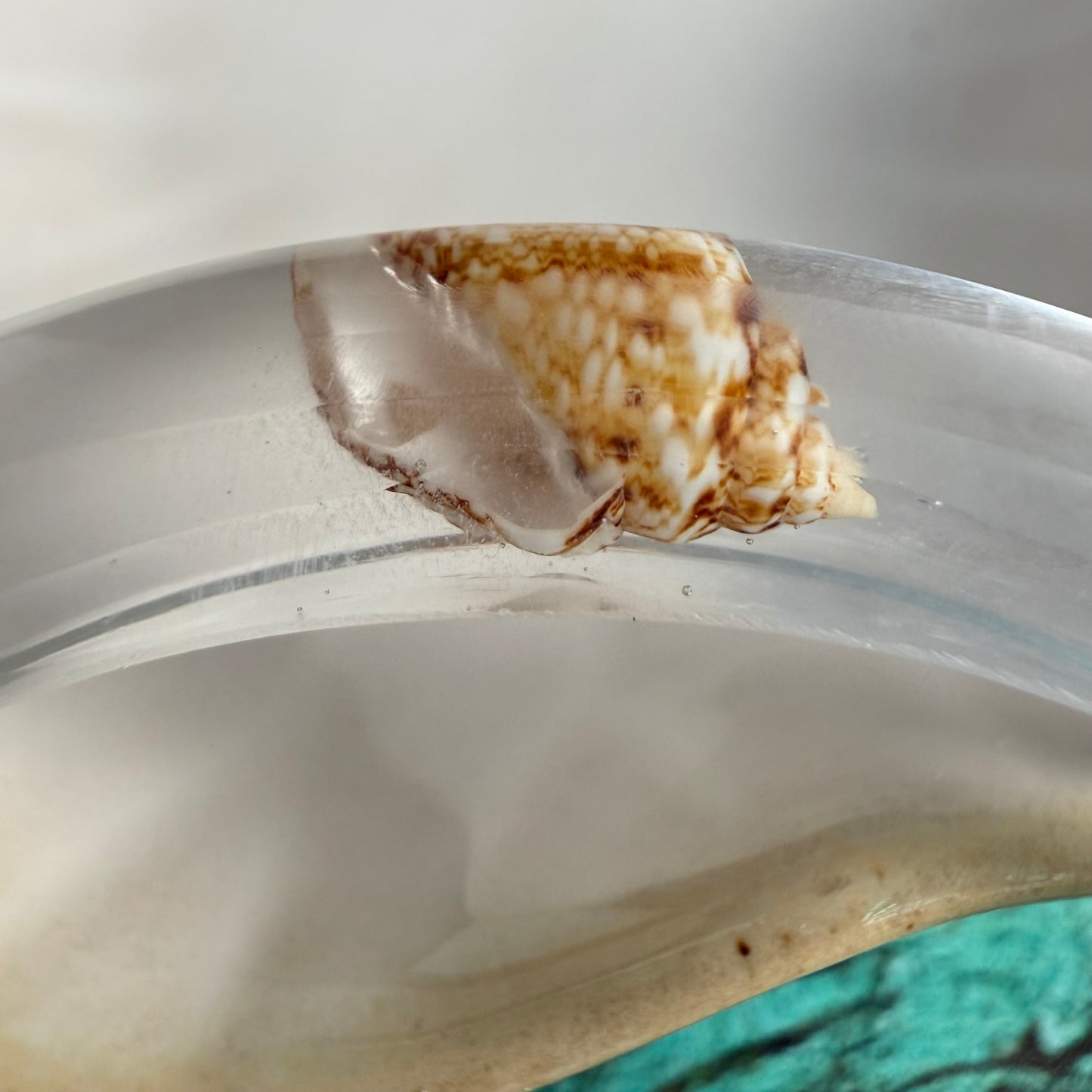 Seaside Whisper Bangle Bracelet