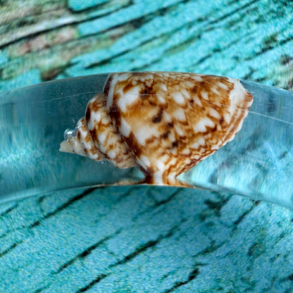 Seaside Whisper Bangle Bracelet